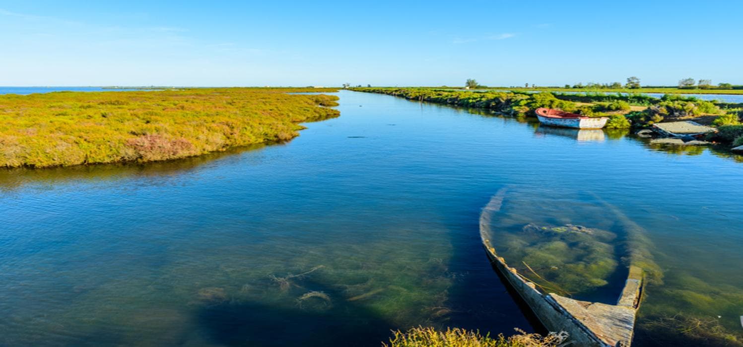 Viatge a Delta de l'Ebre