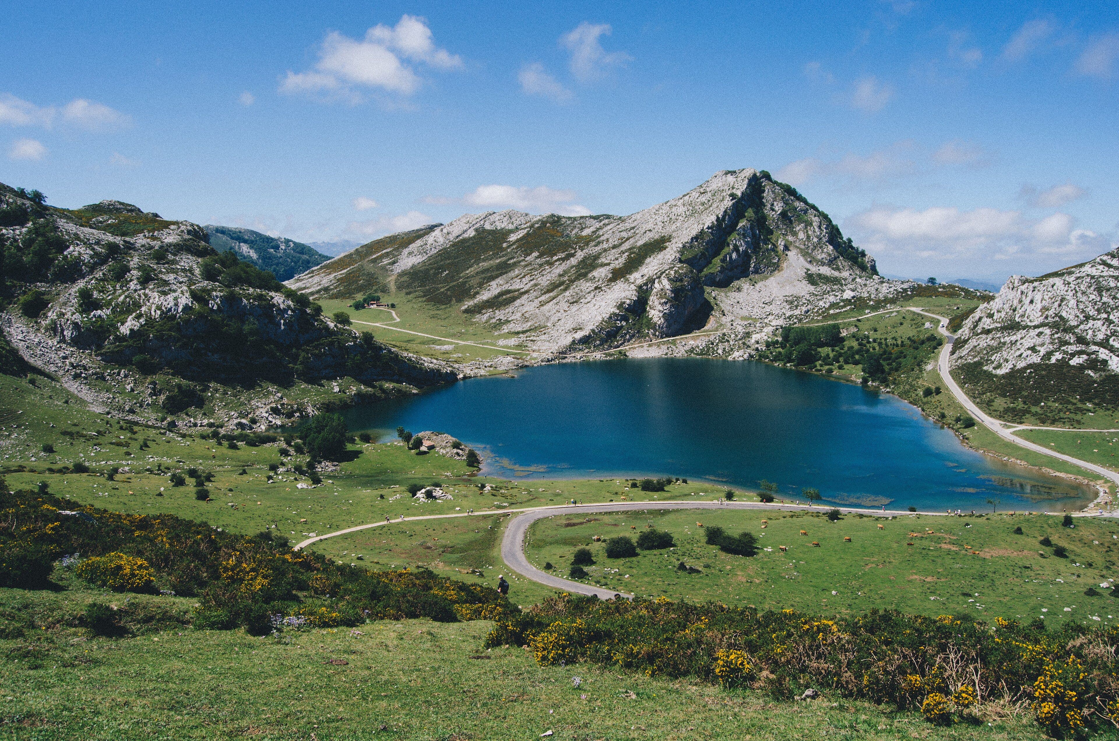 El lago Enol, en los Lagos de Covadonga, con la carretera de subida y los prados en flor