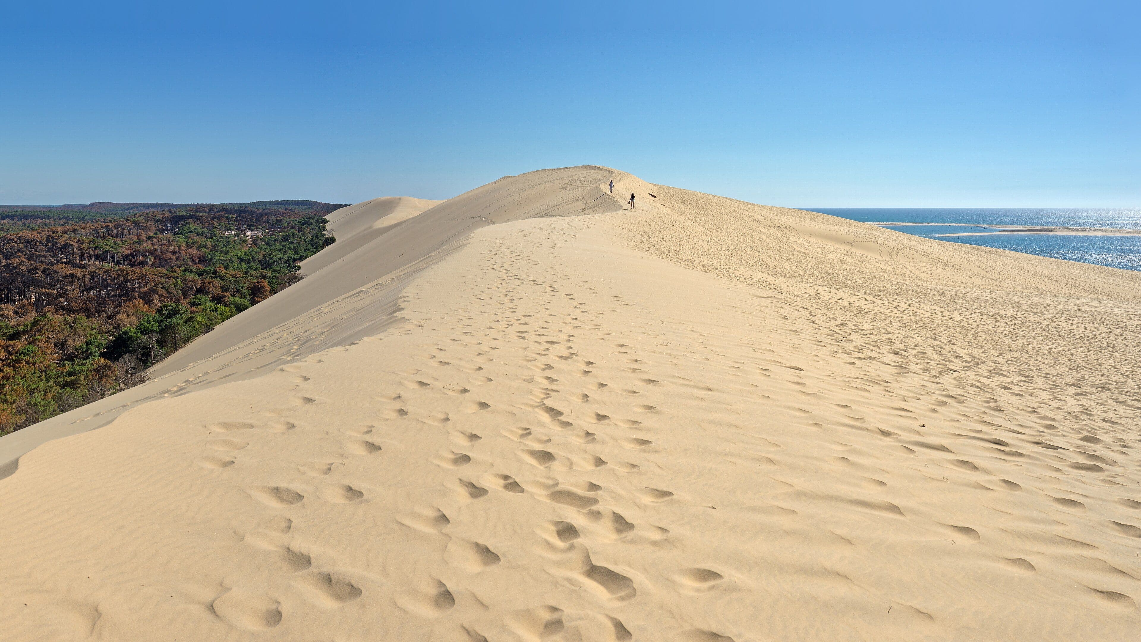 La cresta de la duna del Pilat entre el bosque de las Landas y el Atlántico